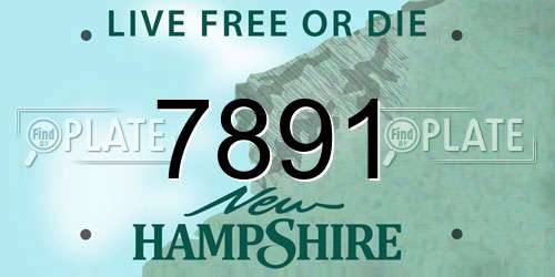 7891 New Hampshire License Plate