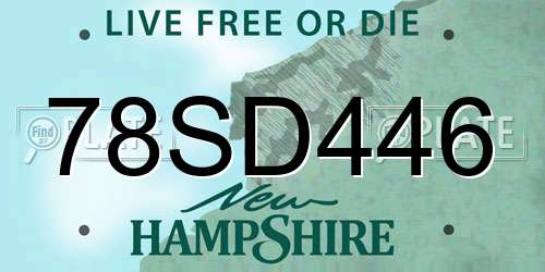 78SD446 New Hampshire License Plate