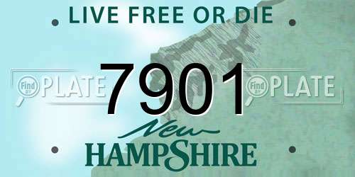 7901 New Hampshire License Plate