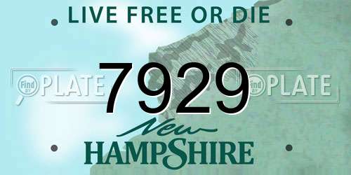 7929 New Hampshire License Plate