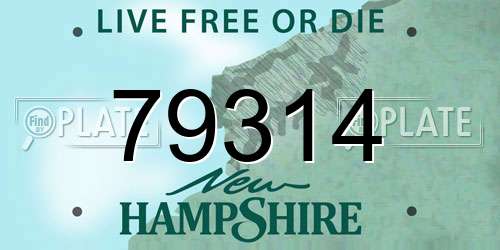 79314 New Hampshire License Plate