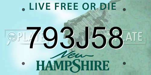 793J58 New Hampshire License Plate