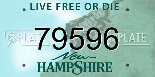 79596 New Hampshire License Plate