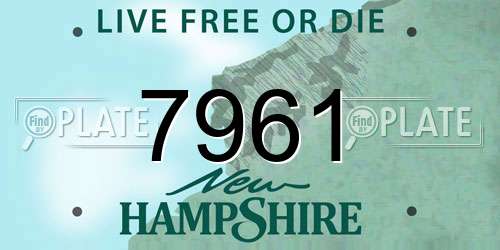 7961 New Hampshire License Plate