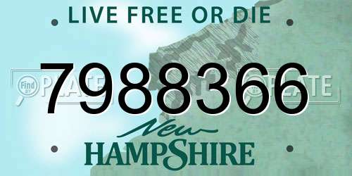 7988366 New Hampshire License Plate