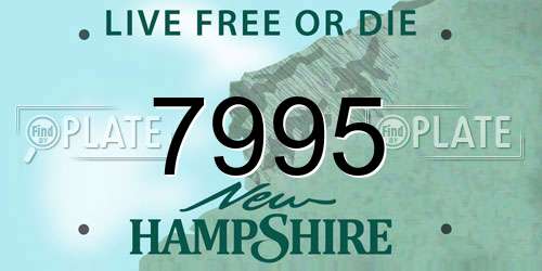 7995 New Hampshire License Plate