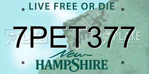 7PET377 New Hampshire License Plate