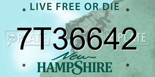 7T36642 New Hampshire License Plate