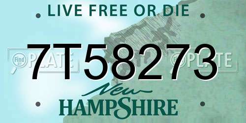 7T58273 New Hampshire License Plate