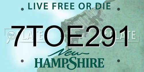 7TOE291 New Hampshire License Plate