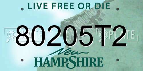 80205T2 New Hampshire License Plate