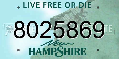 8025869 New Hampshire License Plate