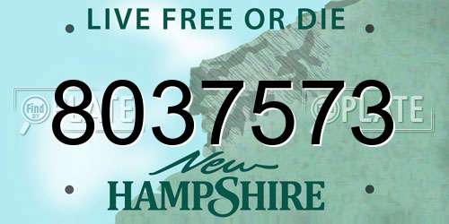8037573 New Hampshire License Plate