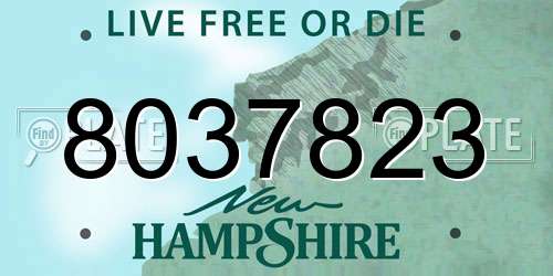 8037823 New Hampshire License Plate