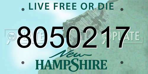 8050217 New Hampshire License Plate