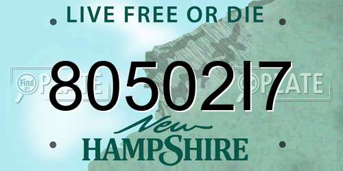 80502I7 New Hampshire License Plate