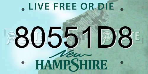 80551D8 New Hampshire License Plate