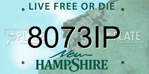 8073IP New Hampshire License Plate