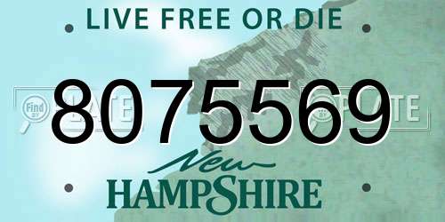 8075569 New Hampshire License Plate