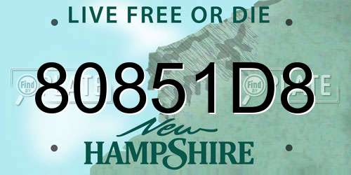 80851D8 New Hampshire License Plate
