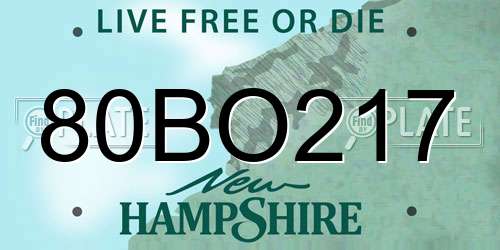 80BO217 New Hampshire License Plate