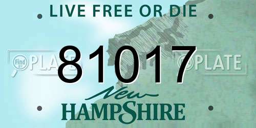 81017 New Hampshire License Plate