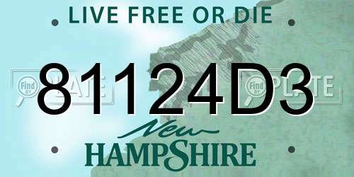 81124D3 New Hampshire License Plate