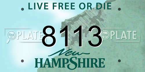 8113 New Hampshire License Plate