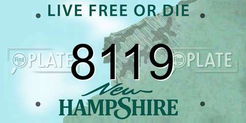 8119 New Hampshire License Plate