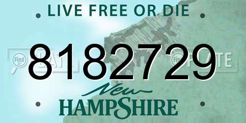8182729 New Hampshire License Plate