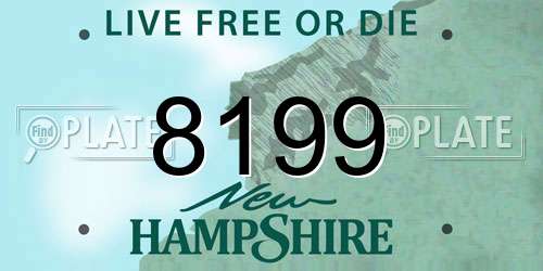 8199 New Hampshire License Plate