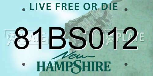 81BS012 New Hampshire License Plate