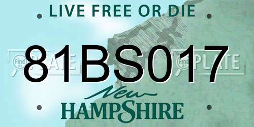 81BS017 New Hampshire License Plate