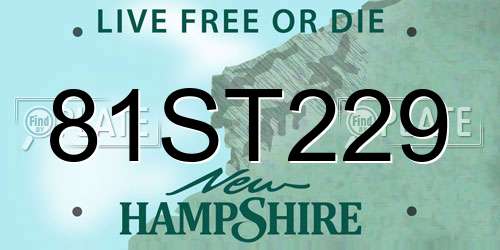 81ST229 New Hampshire License Plate