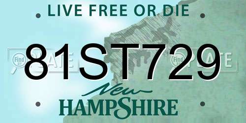 81ST729 New Hampshire License Plate