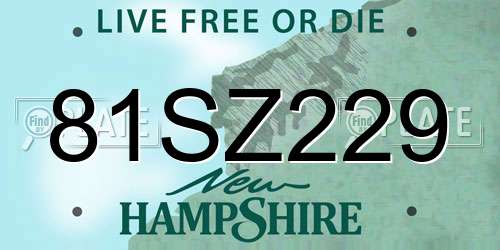 81SZ229 New Hampshire License Plate