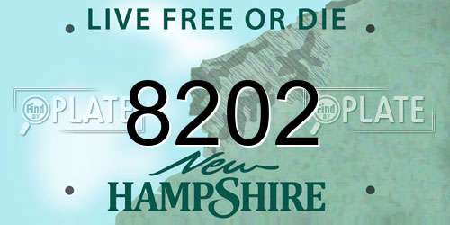 8202 New Hampshire License Plate