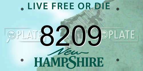 8209 New Hampshire License Plate
