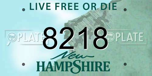 8218 New Hampshire License Plate