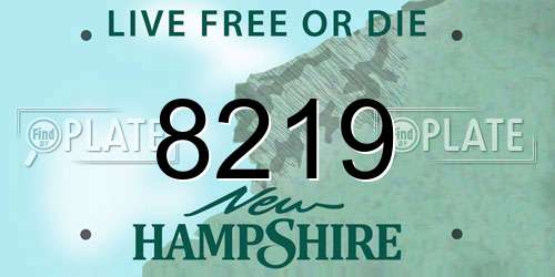 8219 New Hampshire License Plate
