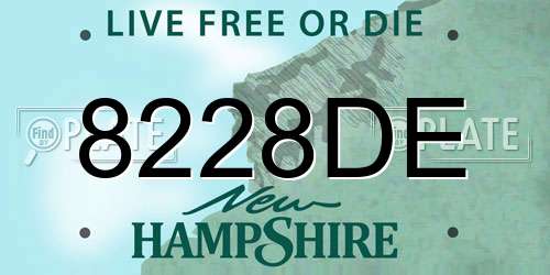 8228DE New Hampshire License Plate