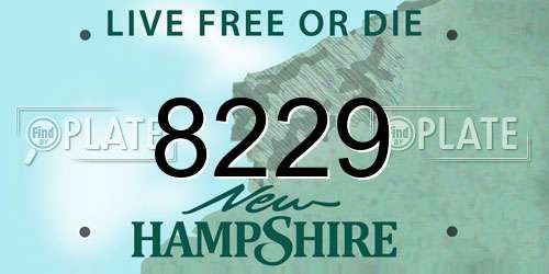 8229 New Hampshire License Plate
