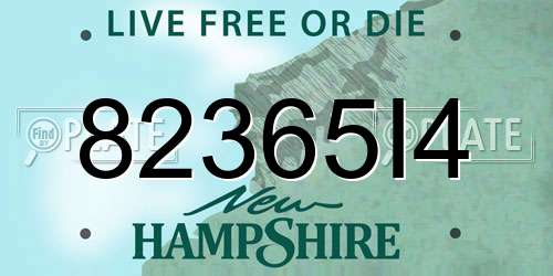82365I4 New Hampshire License Plate