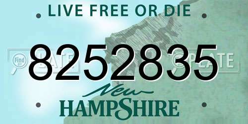 8252835 New Hampshire License Plate