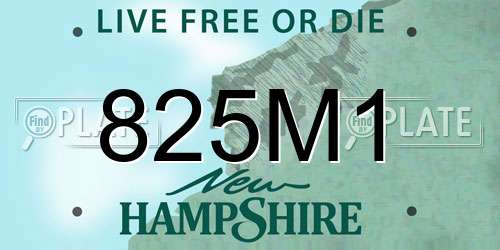 825M1 New Hampshire License Plate