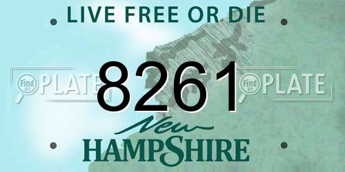 8261 New Hampshire License Plate