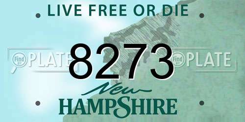 8273 New Hampshire License Plate