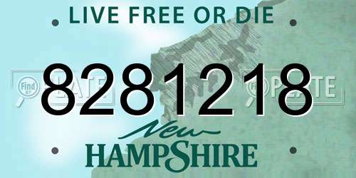 8281218 New Hampshire License Plate