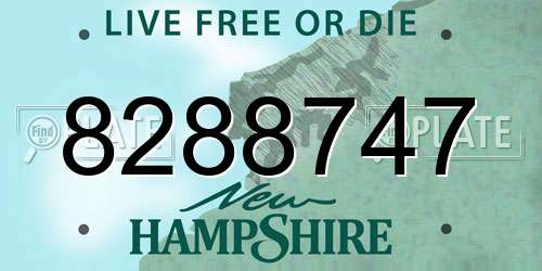 8288747 New Hampshire License Plate
