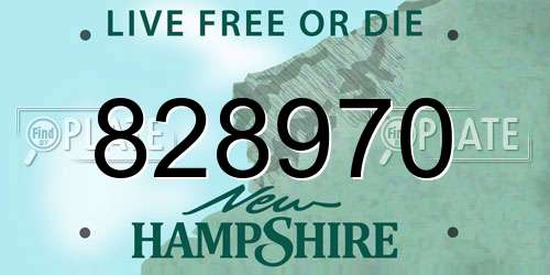 828970 New Hampshire License Plate